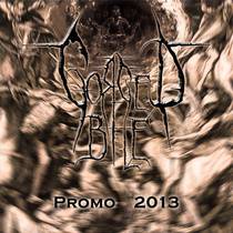Gorged Bile : Promo 2013